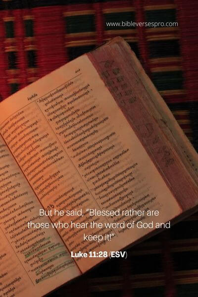 Luke 11_28 (Esv) (1)