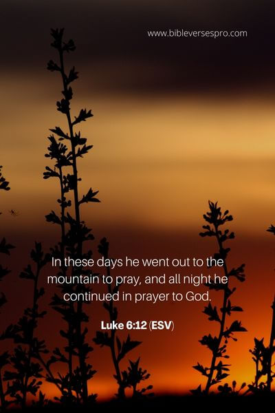 Luke 6_12 (ESV) 