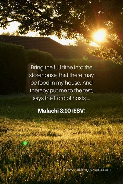 Malachi 3_10 (ESV) 