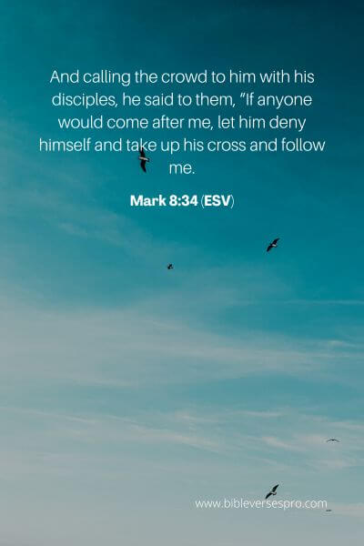 Mark 8_34 (Esv)