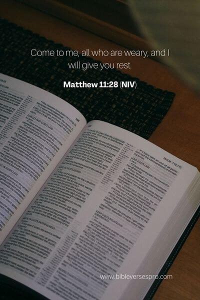 Matthew 11_28 (Niv)