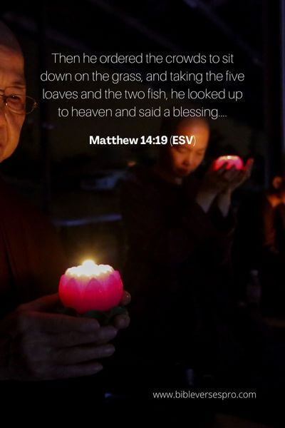 Matthew 14_19 (Esv)