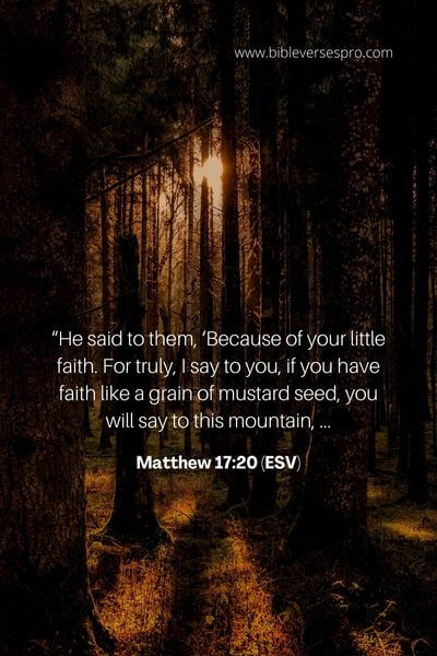 Matthew 17_20 (Esv)