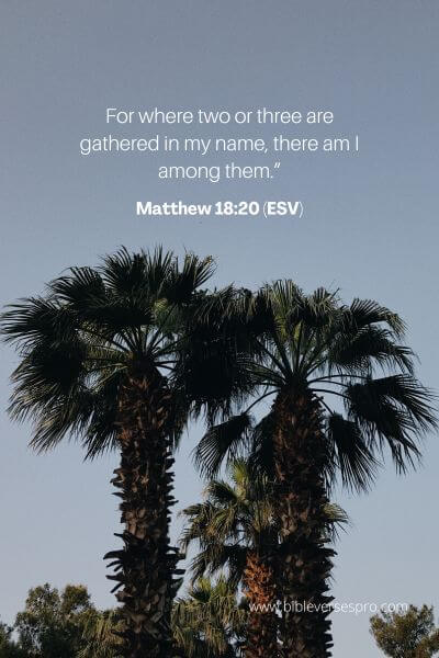 Matthew 18_20 (ESV)