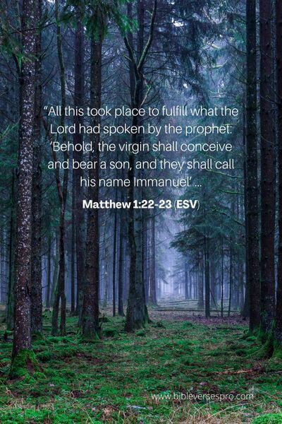 Matthew 1_22-23 (Esv)