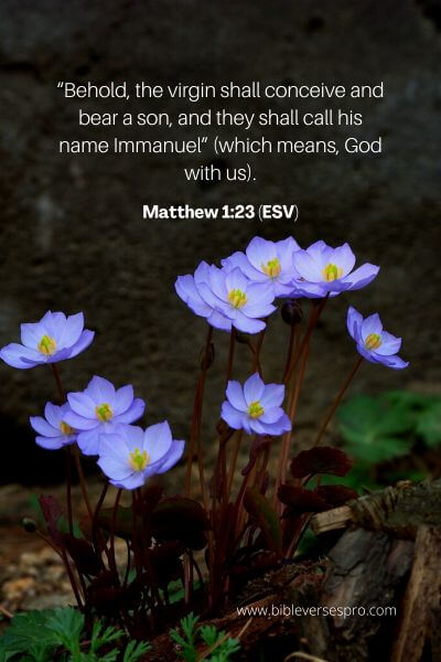 Matthew 1_23 (Esv)