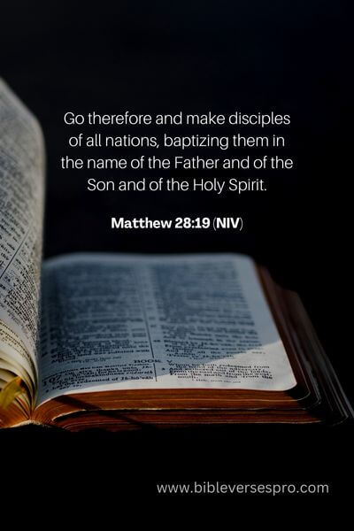 Matthew 28_19 (NIV)