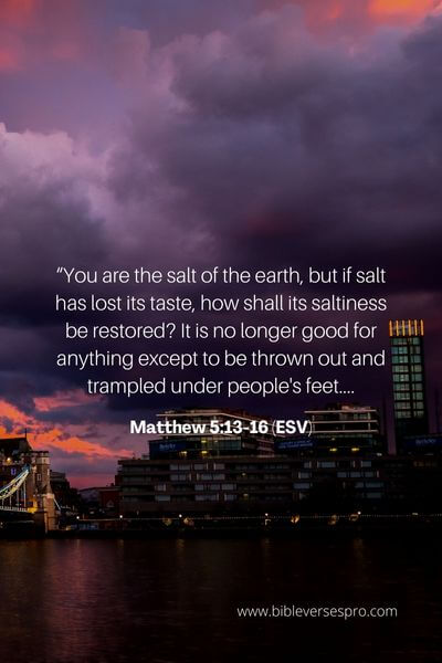 Matthew 5_13-16 (Esv)