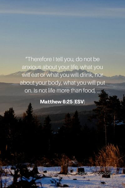 Matthew 6_25 (Esv)