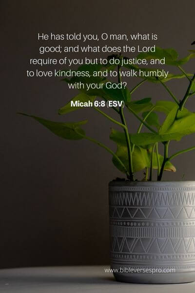 Micah 6_8 (Esv)