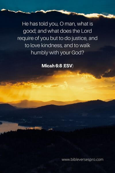 Micah 6_8 (ESV)
