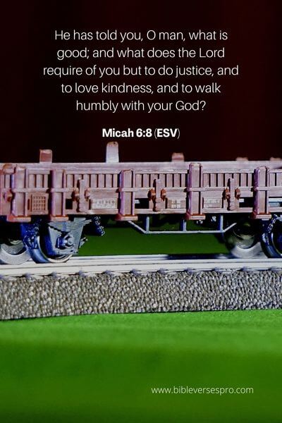Micah 6_8 (Esv)