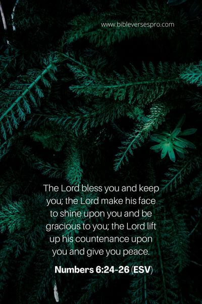 Numbers 6_24-26 (ESV)