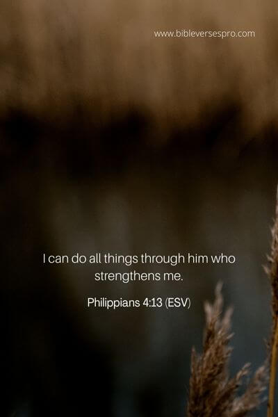 Philippians 4_13 (Esv) (1)