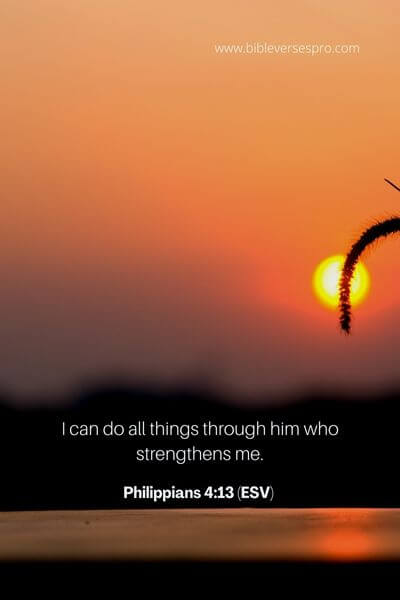 Philippians 4_13 (ESV) (1)