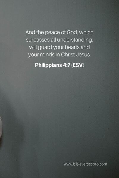 Philippians 4_7 (Esv)