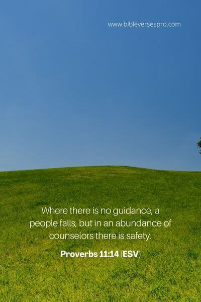 Proverbs 11_14 (ESV) 