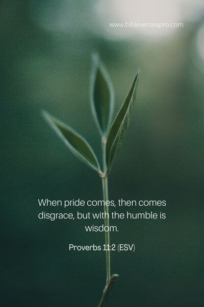 Proverbs 11_2 (ESV)