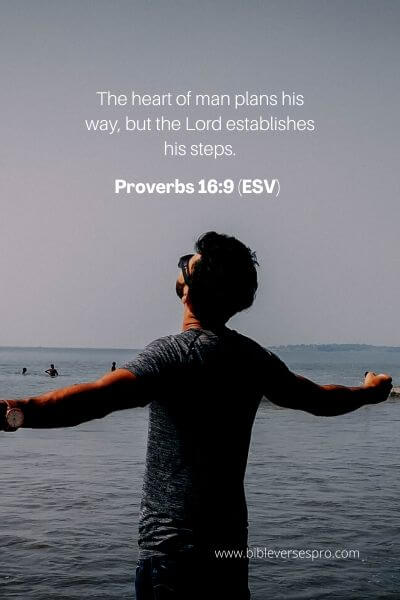Proverbs 16_9 (Esv)