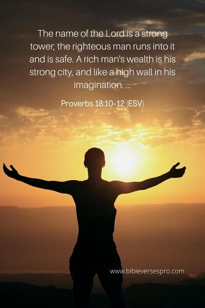 Proverbs 18_10-12 (Esv)