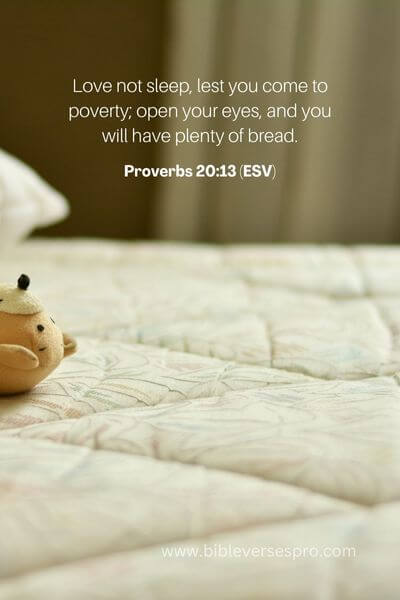 Proverbs 20_13 (Esv)