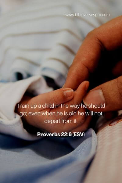 Proverbs 22_6 (Esv)