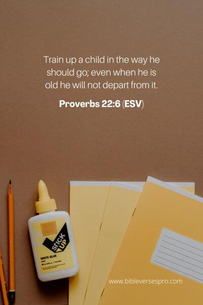 Proverbs 22_6 (Esv)