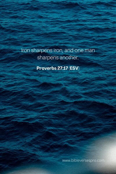 Proverbs 27_17 (Esv) (1)