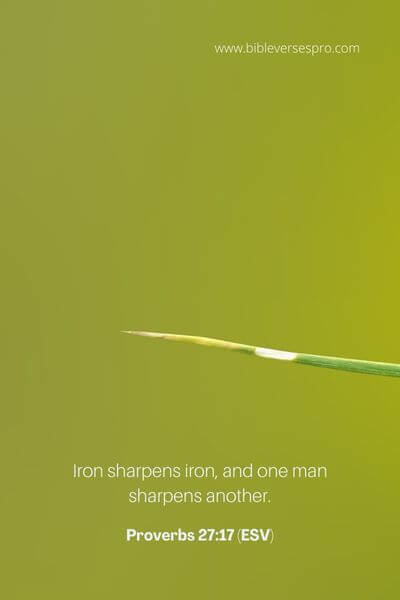 Proverbs 27_17 (ESV) 