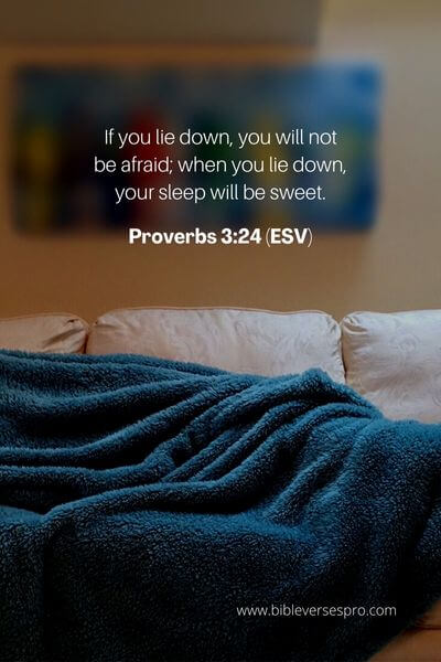 Proverbs 3_24 (Esv)