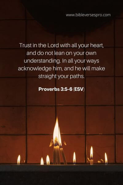 Proverbs 3_5-6 (Esv) (1)