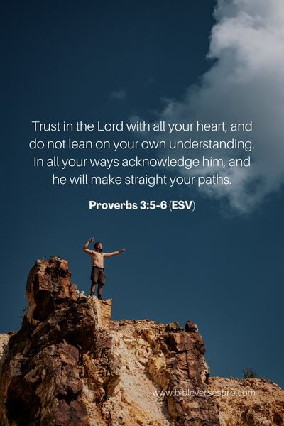 Proverbs 3_5-6 (ESV) 