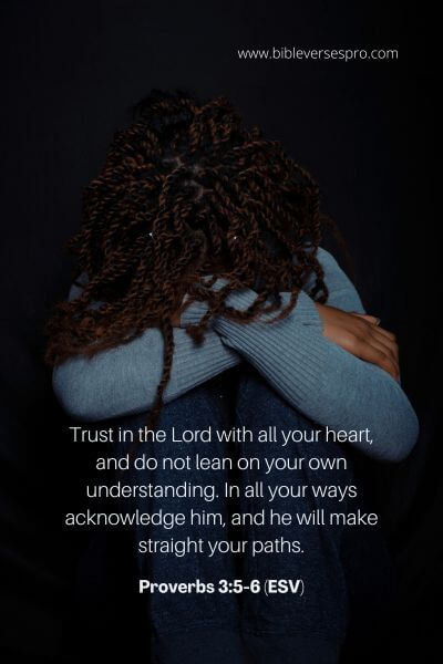 Proverbs 3_5-6 (Esv)