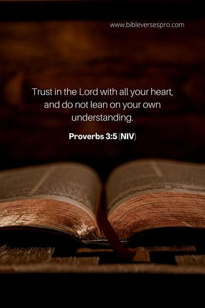 Proverbs 3_5 (NIV)