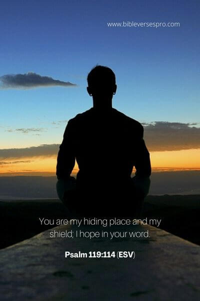 Psalm 119_114 (Esv)