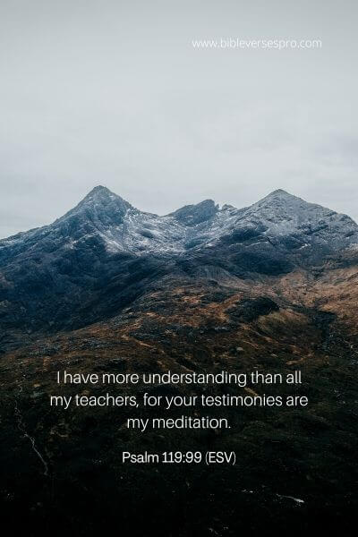 Psalm 119_99 (ESV)