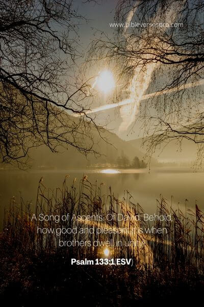 Psalm 133_1(ESV)
