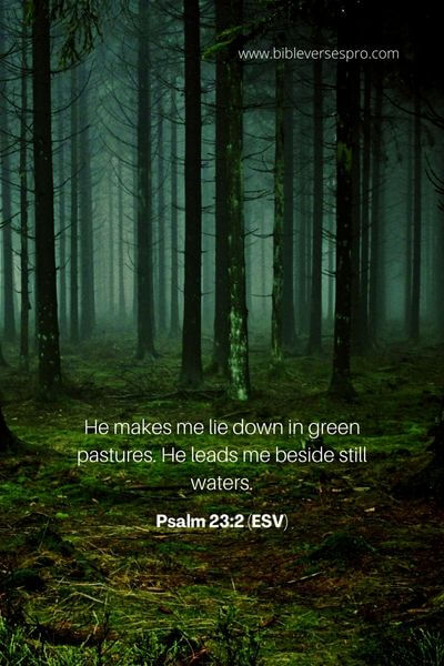 Psalm 23_2 (Esv)
