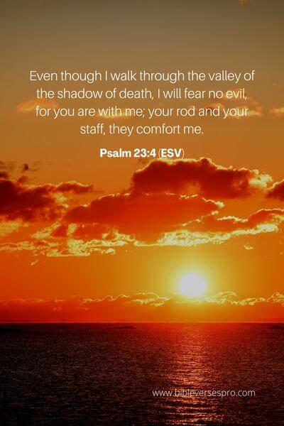 Psalm 23_4 (ESV)