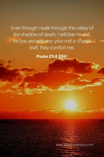 Psalm 23_4 (Esv)