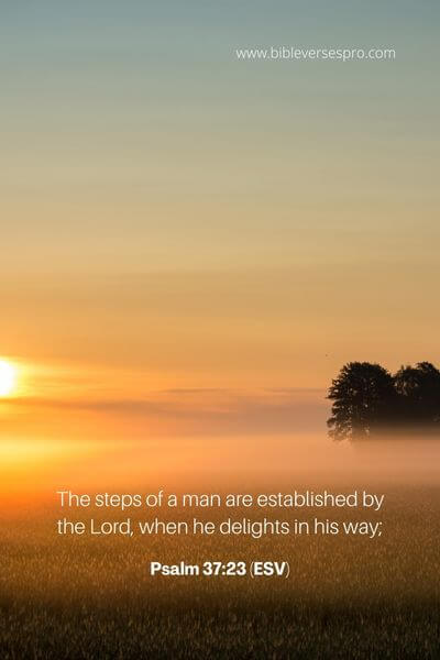 Psalm 37_23 (ESV)