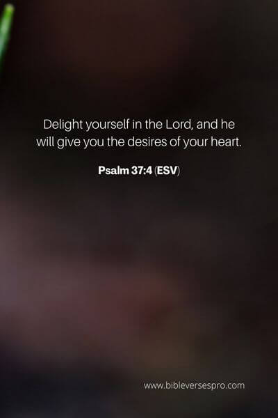 Psalm 37_4 (Esv)