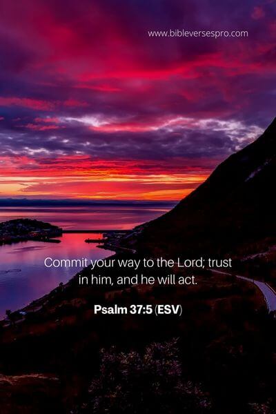 Psalm 37_5 (Esv)