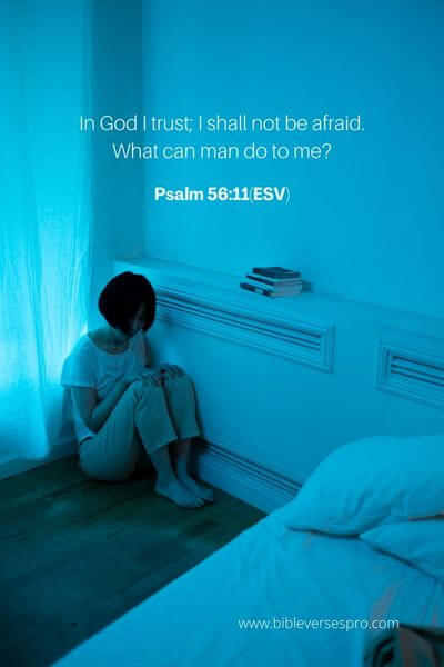 Psalm 56_11(Esv) 