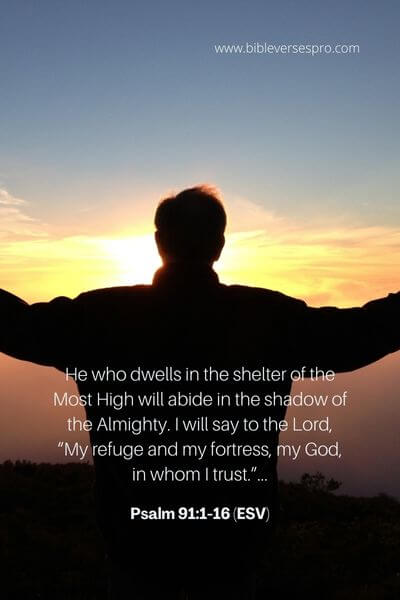 Psalm 91_1-16 (Esv)