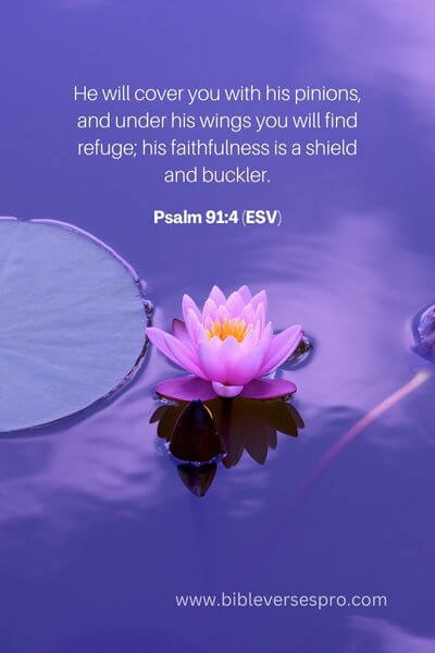 Psalm 91_4 (Esv)