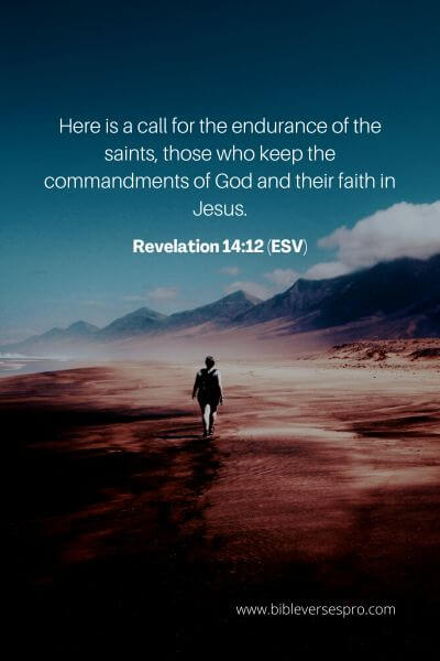 Revelation 14_12 (Esv)