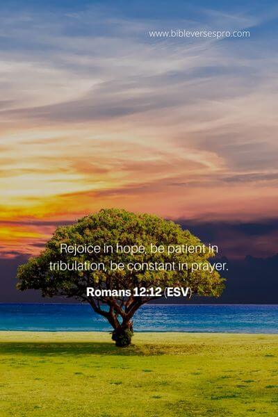 Romans 12_12 (ESV)