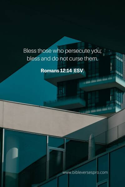 Romans 12_14 (Esv)