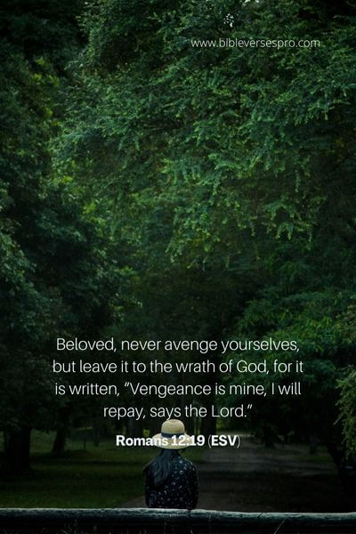 Romans 12_19 (Esv)